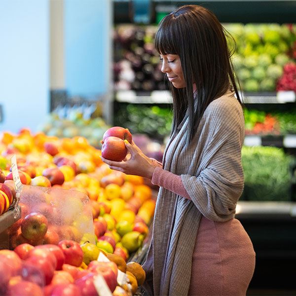 Commercial Pest Control